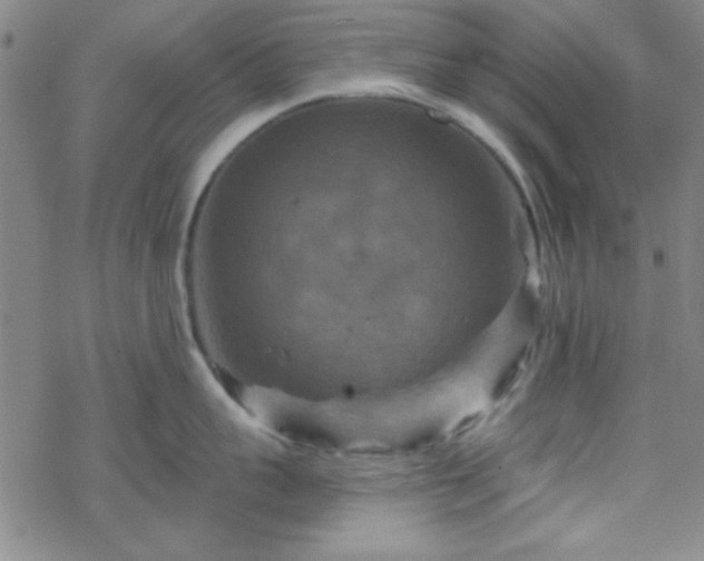 X0000070180959200606021029