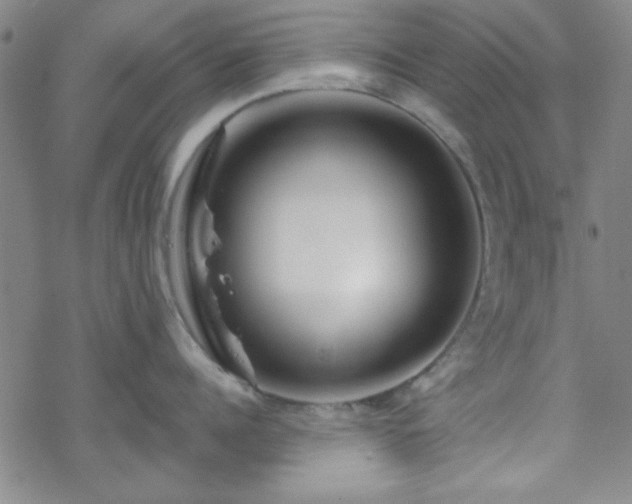 X0000070180960200606021029