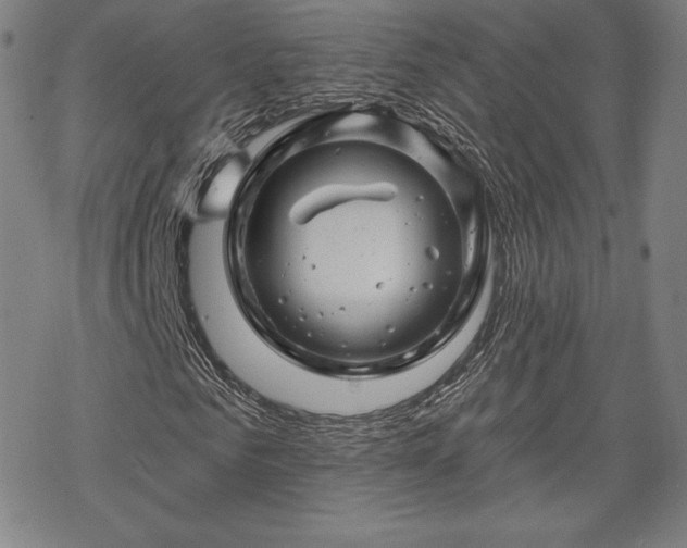 X0000070180961200606021028