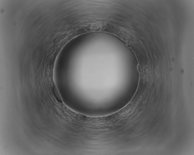 X0000070180962200606021028