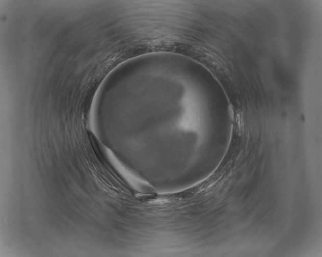 X0000070180963200606021028