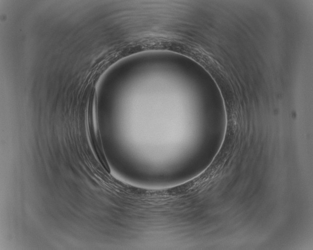 X0000070180964200606021028