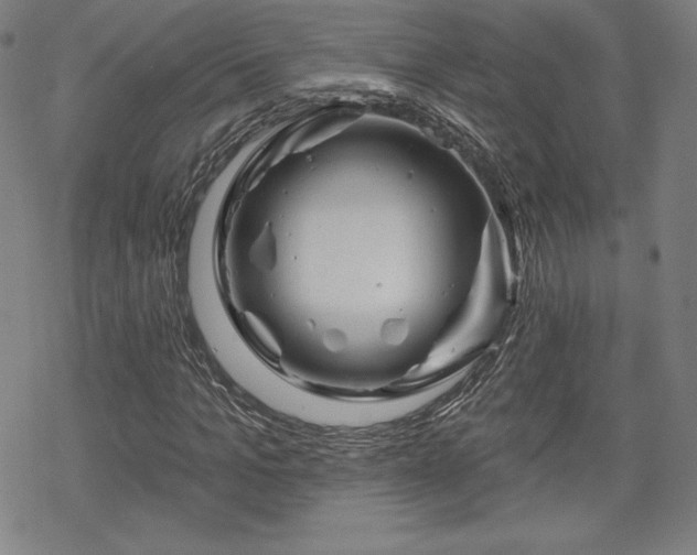 X0000070180965200606021028