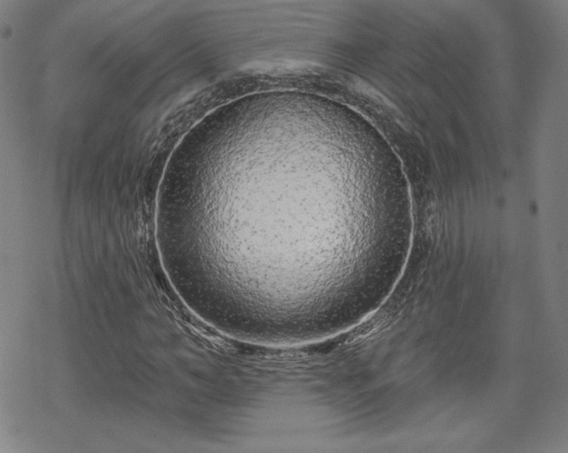 X0000070180966200606021028