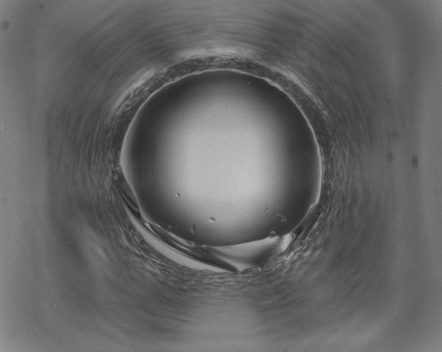 X0000070180967200606021028