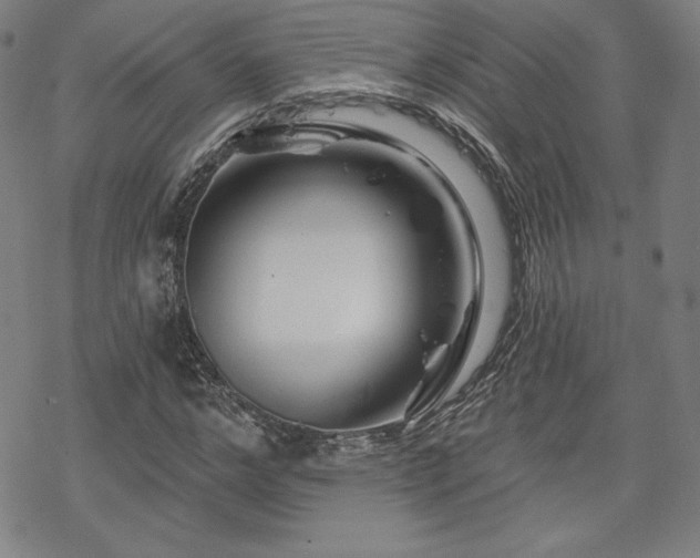 X0000070180968200606021028