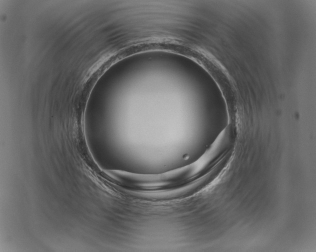 X0000070180969200606021028