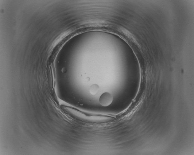 X0000070180970200606021028