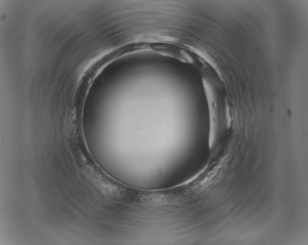 X0000070180971200606021028