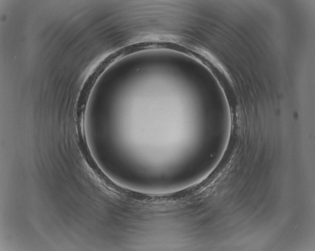 X0000070180972200606021028