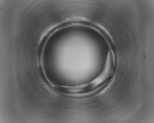 X0000070180973200606021028