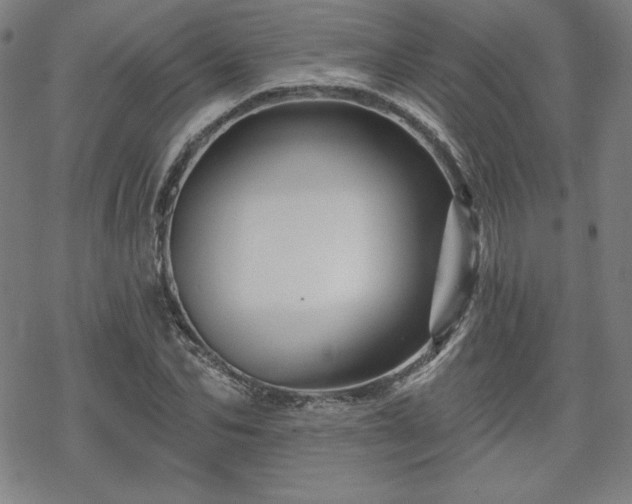 X0000070180974200606021028