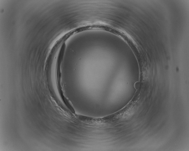 X0000070180975200606021028