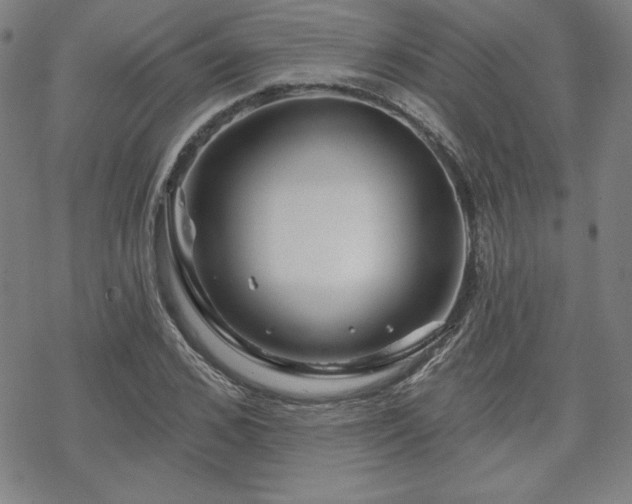 X0000070180976200606021028