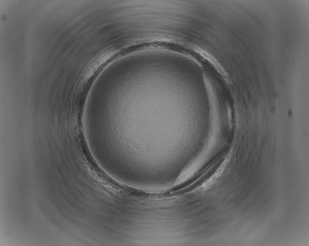 X0000070180977200606021028