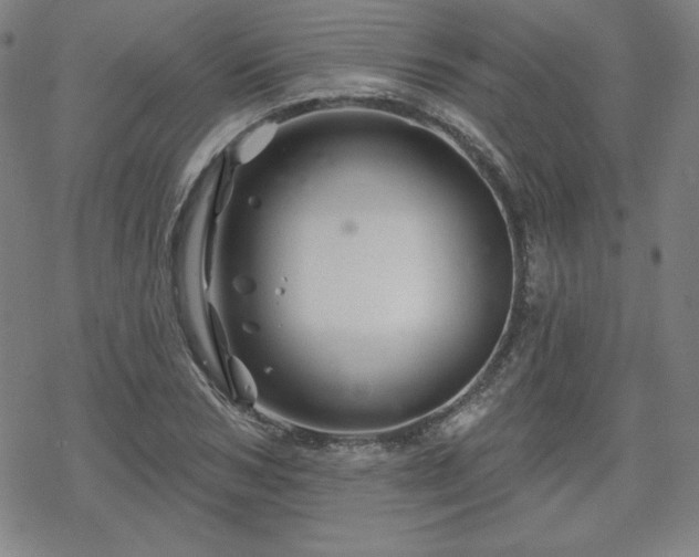 X0000070180978200606021028