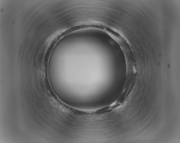 X0000070180979200606021028