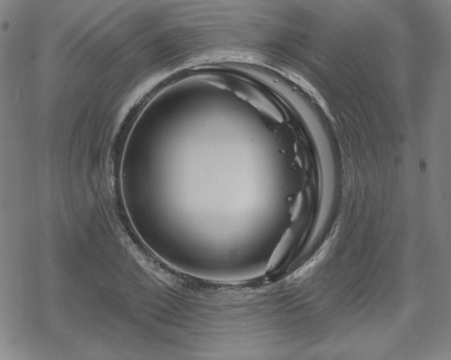 X0000070180981200606021028