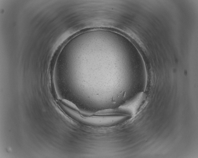 X0000070180982200606021028