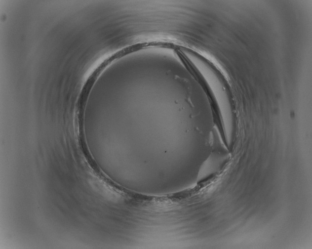 X0000070180983200606021028