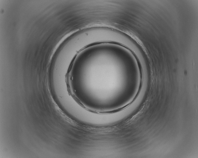 X0000070180984200606021028