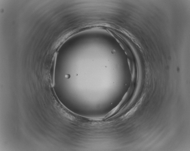 X0000070180985200606021028