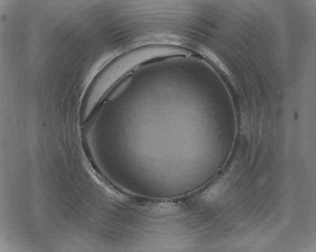 X0000070180986200606021028