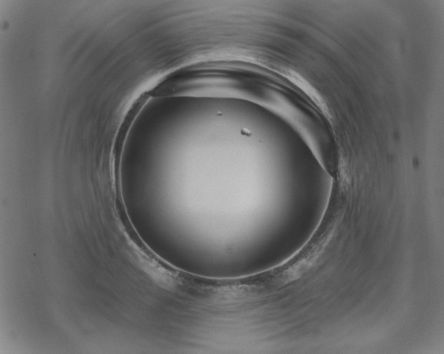 X0000070180988200606021028