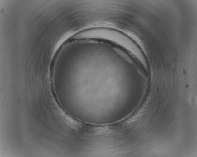 X0000070180990200606021028