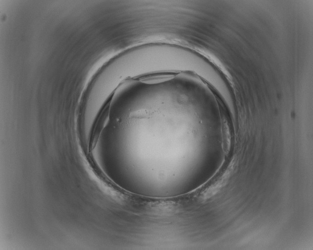 X0000070180991200606021028