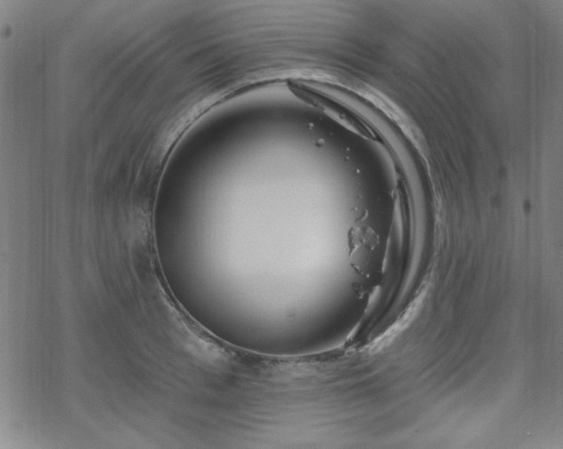 X0000070180993200606021028