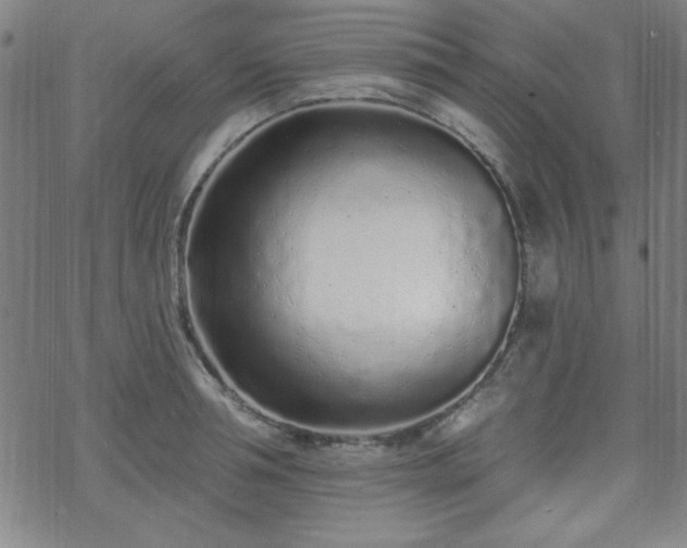 X0000070180994200606021028