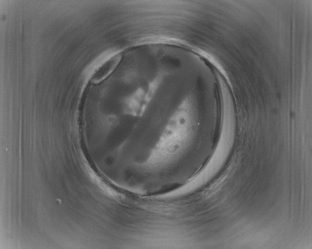 X0000070180995200606021028