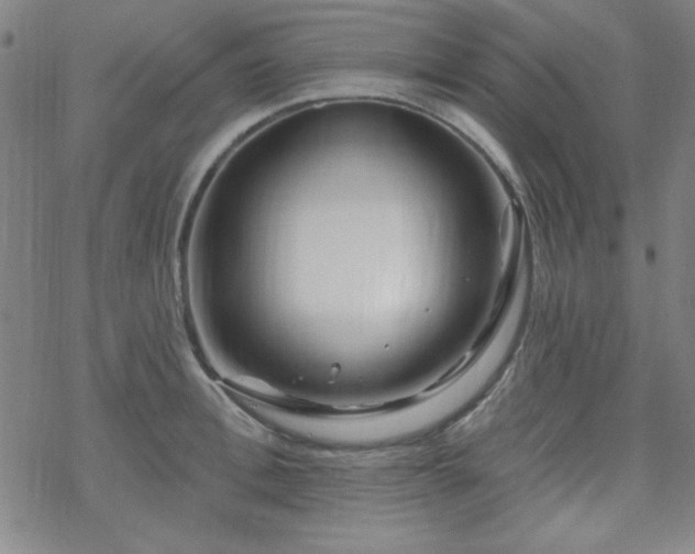 X0000070180996200606021028