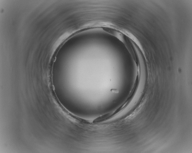 X0000070180997200606021028