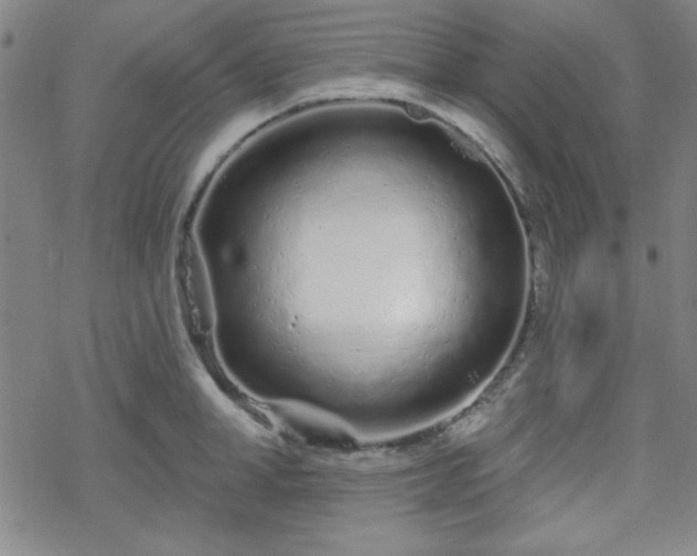 X0000070180998200606021028