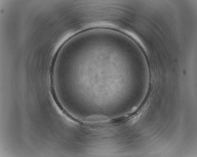 X0000070180999200606021028