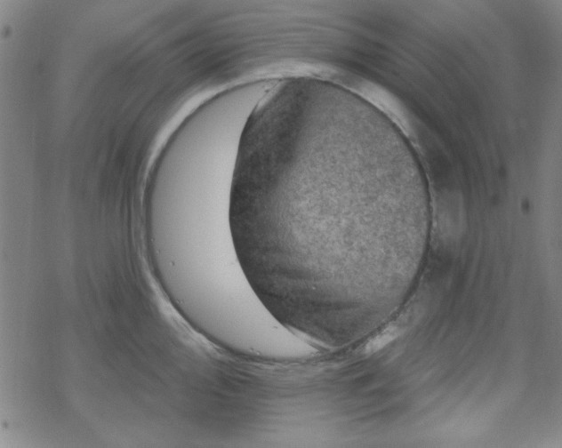 X0000070181000200606021028