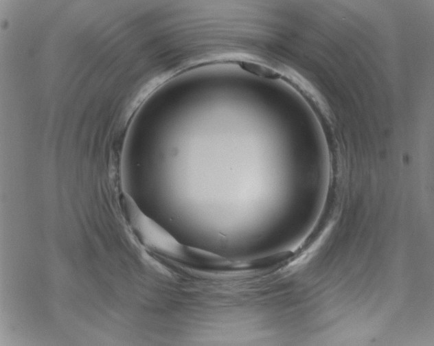 X0000070181001200606021028