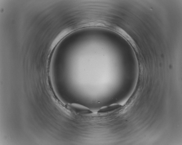 X0000070181002200606021028