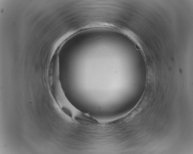 X0000070181003200606021028