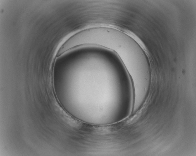 X0000070181004200606021028