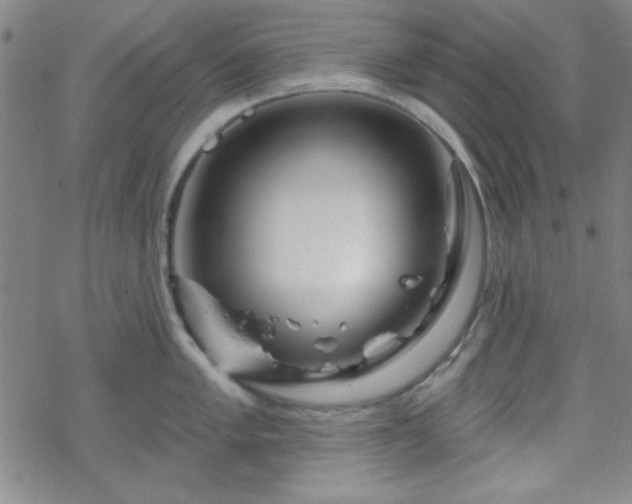 X0000070181005200606021028