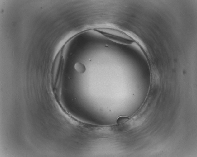 X0000070181006200606021028