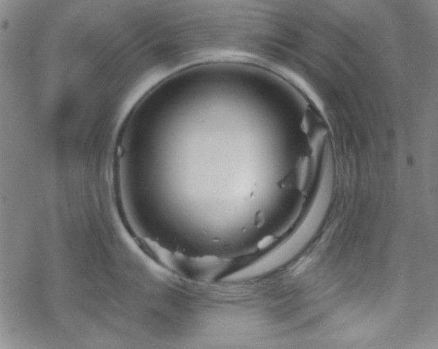 X0000070181007200606021028