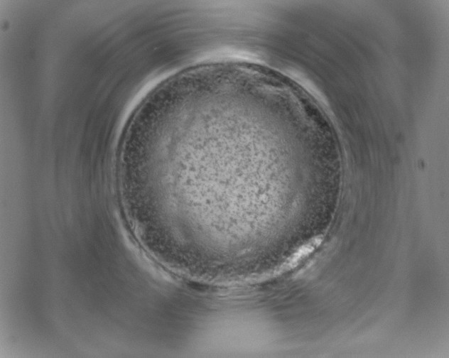 X0000070181008200606021028