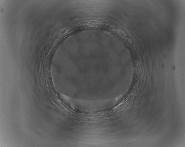 X0000070181009200606021027