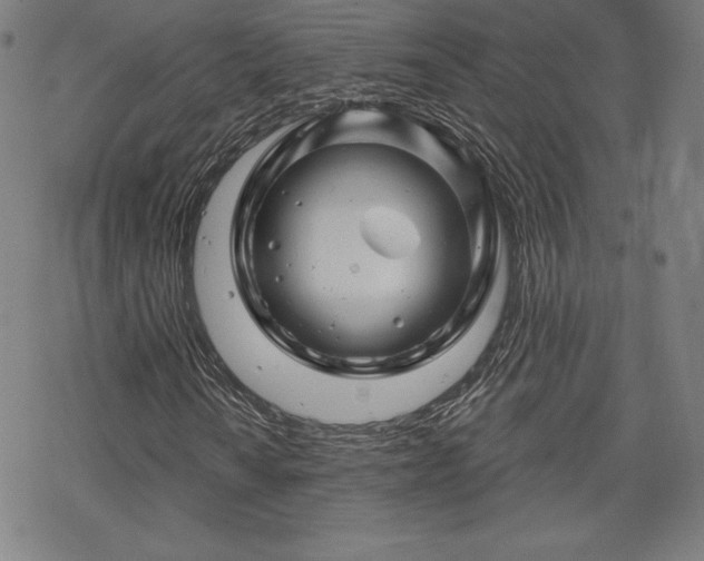 X0000070181010200606021027