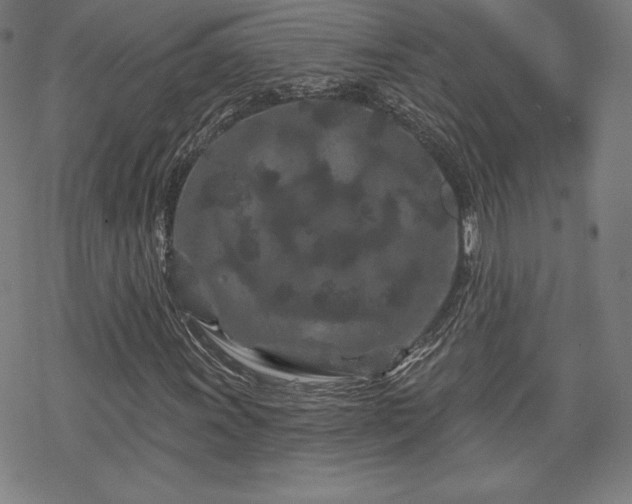 X0000070181011200606021027