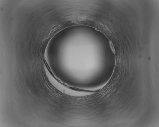 X0000070181012200606021027